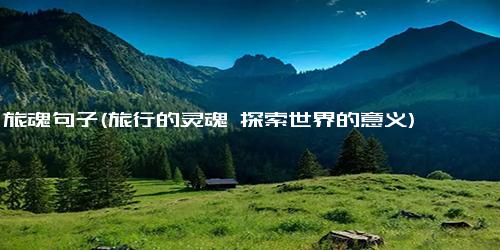 旅魂句子(旅行的灵魂 探索世界的意义)